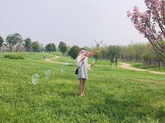 -金卉庄园