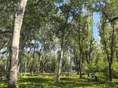 -森林公园(尖草坪区)