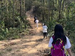 -青龙山国家森林公园