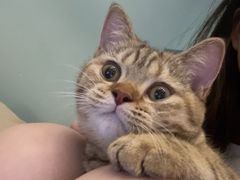 -瑞派康怡24h宠物医院·犬猫医疗中心·微创绝育(瑞景分院)