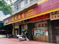 -成发鱼生