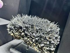 -青岛海泉湾皇冠假日度假酒店