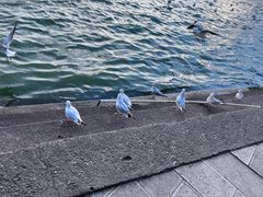 -滇池海埂公园