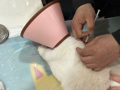 -子乐宠物医院