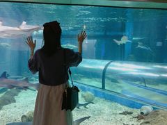 -福州罗源湾海洋世界旅游区