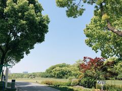 -昆山城市生态森林公园