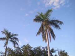 -亚龙湾海底世界