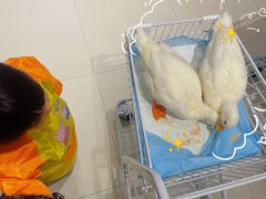 -怪兽屋·羊驼·猫咖·狗咖(俊华广场店)