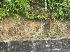 -真浪花园海鲜餐馆