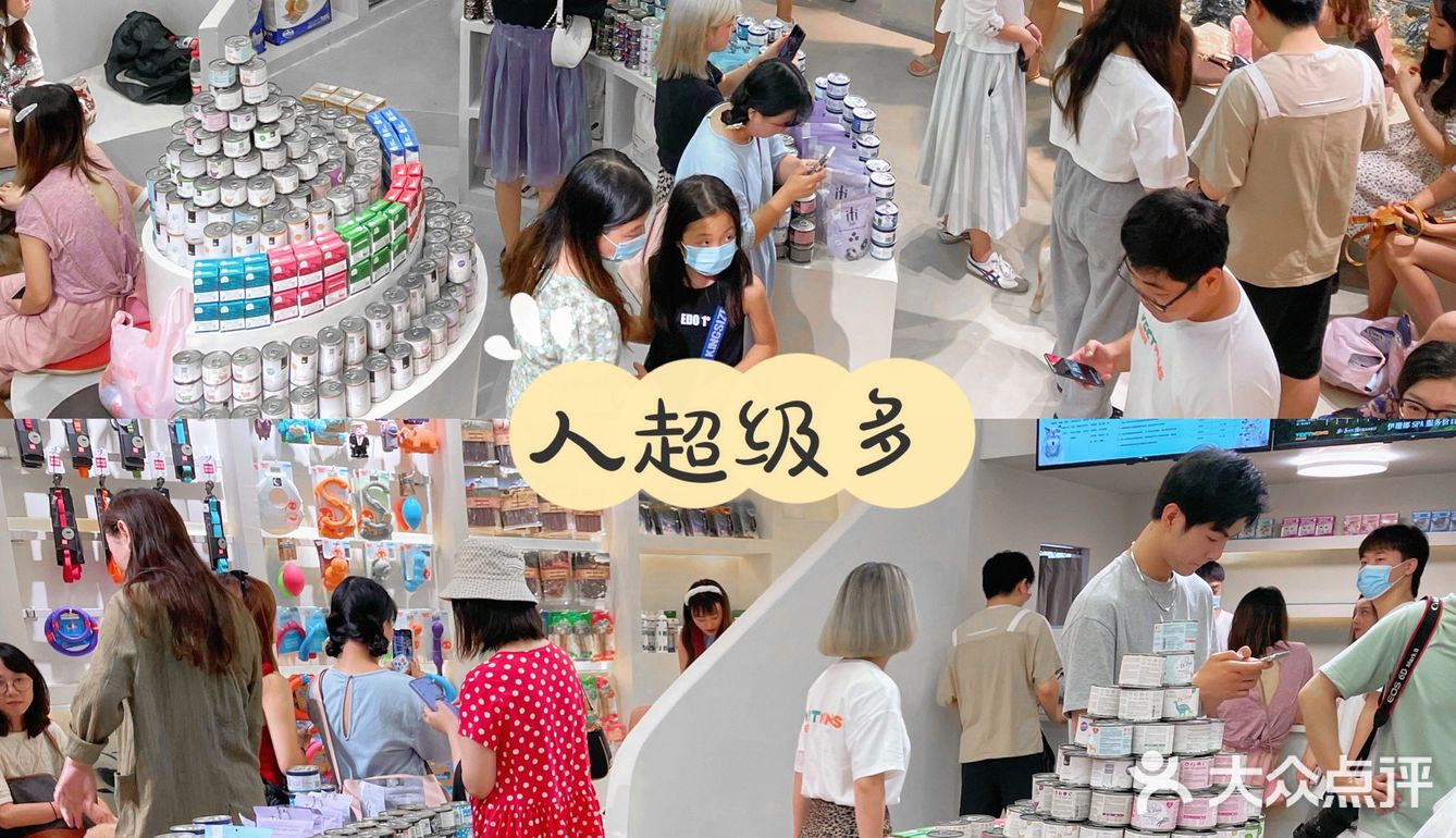 重庆探店丨重庆宠物店天花板罐头还五折❗🐶