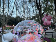 -上海共青森林公园