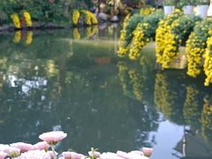 -杭州植物园