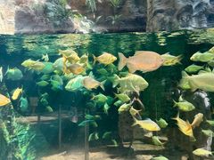 -南昌融创海世界