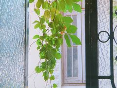 -西关84·History·Art·Cafe