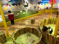 -七巧国萌宠乐园(龙湖天街店)