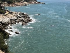 -广东惠东海龟国家级自然保护区