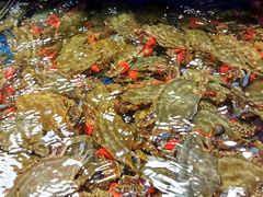 -三旗百汇商品城