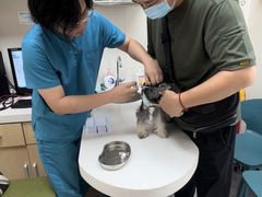 -美联众合动物医院(唯恩分院)