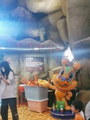 -卡通尼·Safari非洲探索乐园·生日会(金桥国际商业广场店)