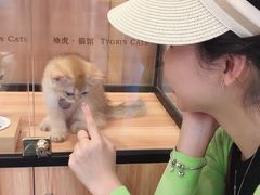 -袖虎·猫馆(体育西路店)