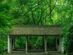 -虎跑公园