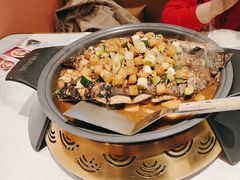 -锦尚阁烤鱼(望京新荟城店)