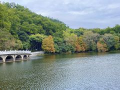 -深圳仙湖植物园