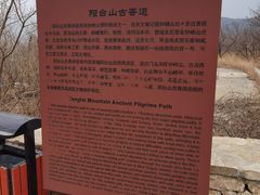 -阳台山自然风景区