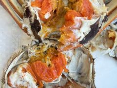 -蟹天蟹地农家菜·阳澄湖大闸蟹(浅水湾店)