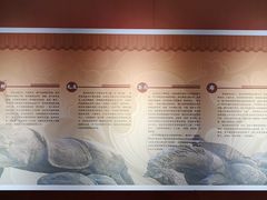 -西安大唐西市博物馆