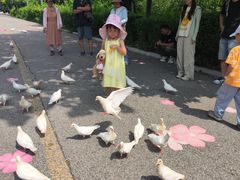 -燕塞湖鸟语林景区