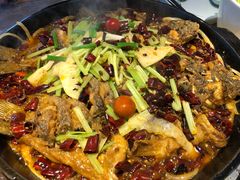 -老板恋上鱼(恒隆广场店)