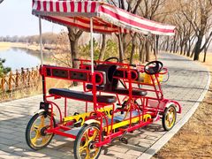 -野鸭湖国家湿地公园