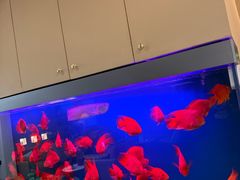 -宫七SPA·高端Massage(浦东大道店)