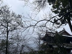 -都江堰景区