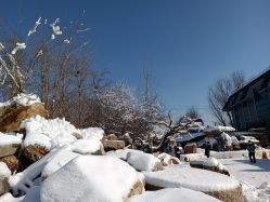 -优沃得自然教育农场·冰雪乐园·生日会·研学