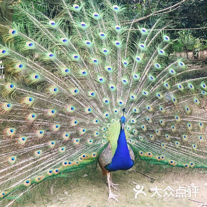 百鸟乐园图片-北京亲子乐园-大众点评网