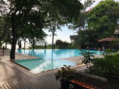 -卷心菜和避孕套餐厅(Pattaya)