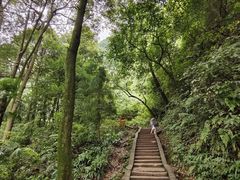 -青城山