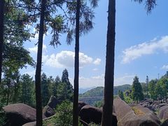 -玉苍山国家森林公园