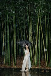 点击看大图 -拉瑞娜LaReine婚纱礼服高级定制