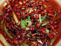 -雲蜀龙阁·金牌水煮鱼(方庄店)