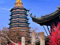 -红梅公园