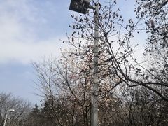 -白塘生态植物园