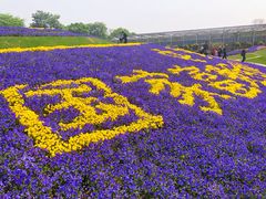 -南通洲际绿博园