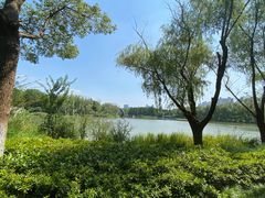 -昆山城市生态森林公园