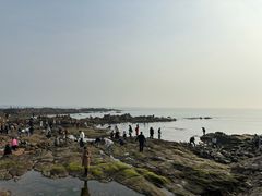 -青岛第二海水浴场