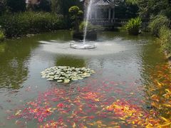 -武汉紫薇都市田园