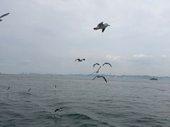 -刘公岛景区