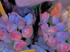 -循礼门鲜花花市(武汉循礼门店)